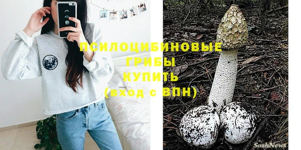 молекула духа Покров