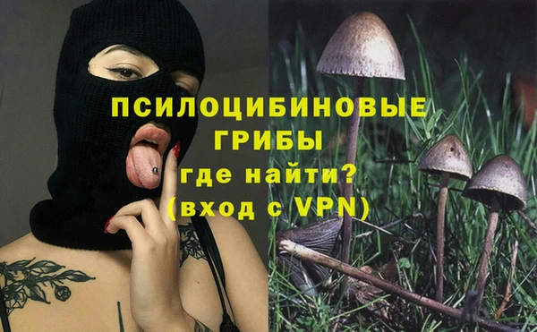 ECSTASY Покачи