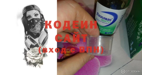 молекула духа Покров