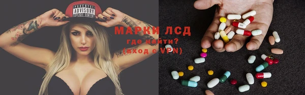 ECSTASY Покачи