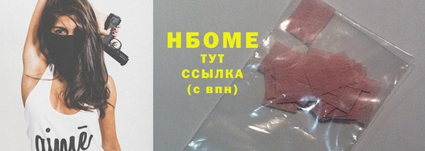молекула духа Покров