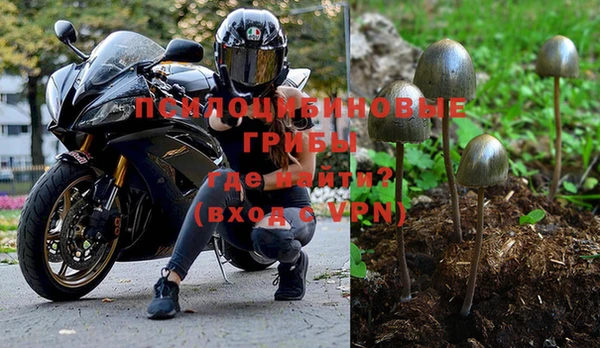 ешки Покровск
