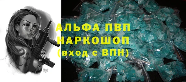 молекула духа Покров