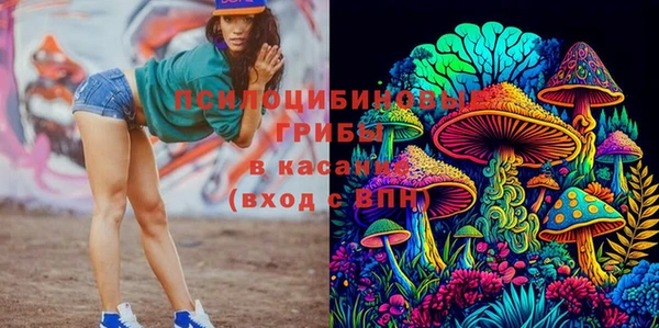 молекула духа Покров