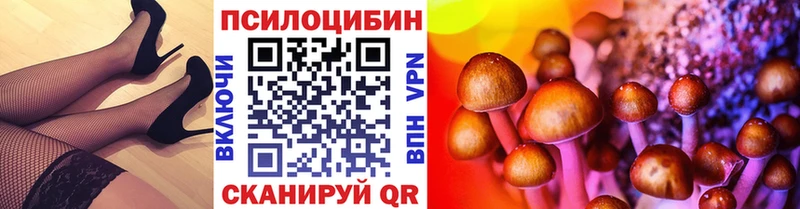 Купить  Рыльск  Псилоцибиновые грибы мицелий 