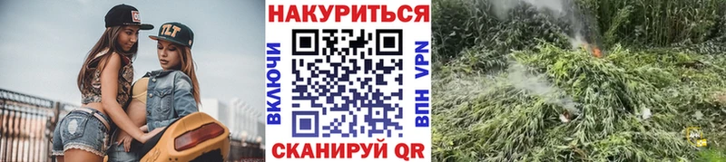 Купить закладки  Рыльск  Канабис ГИДРОПОН 
